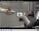 Robo-ramię sterowane myślami