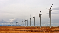 PSEW domaga się zniesienia utrudnień dla inwestorów realizujących projekty wiatrowe