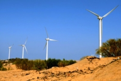 Największa farma wiatrowa w Afryce otwarta w Maroko
