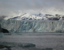 Kamera termowizyjna odkrywa tajemnice Arktyki
