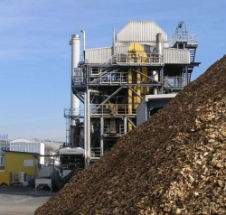 Handel biomasą na giełdzie jeszcze w tym roku