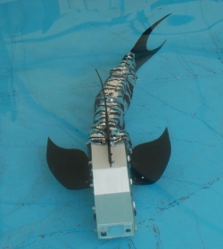 CyberRyba, czyli polski robot naśladujący rybę
