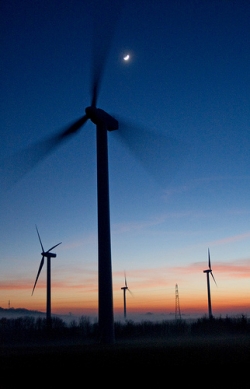 Jedna piąta energii elektrycznej Danii pochodzi z elektrowni wiatrowych
