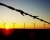 Brak mocy przyłączeniowych dla nowych elektrowni wiatrowych