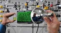 Plantacje nanoprętów na grafenowym podłożu przechwycą energię słoneczną
