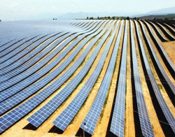 We Francji uruchomiono jedną z największych w Europie elektrowni słonecznych